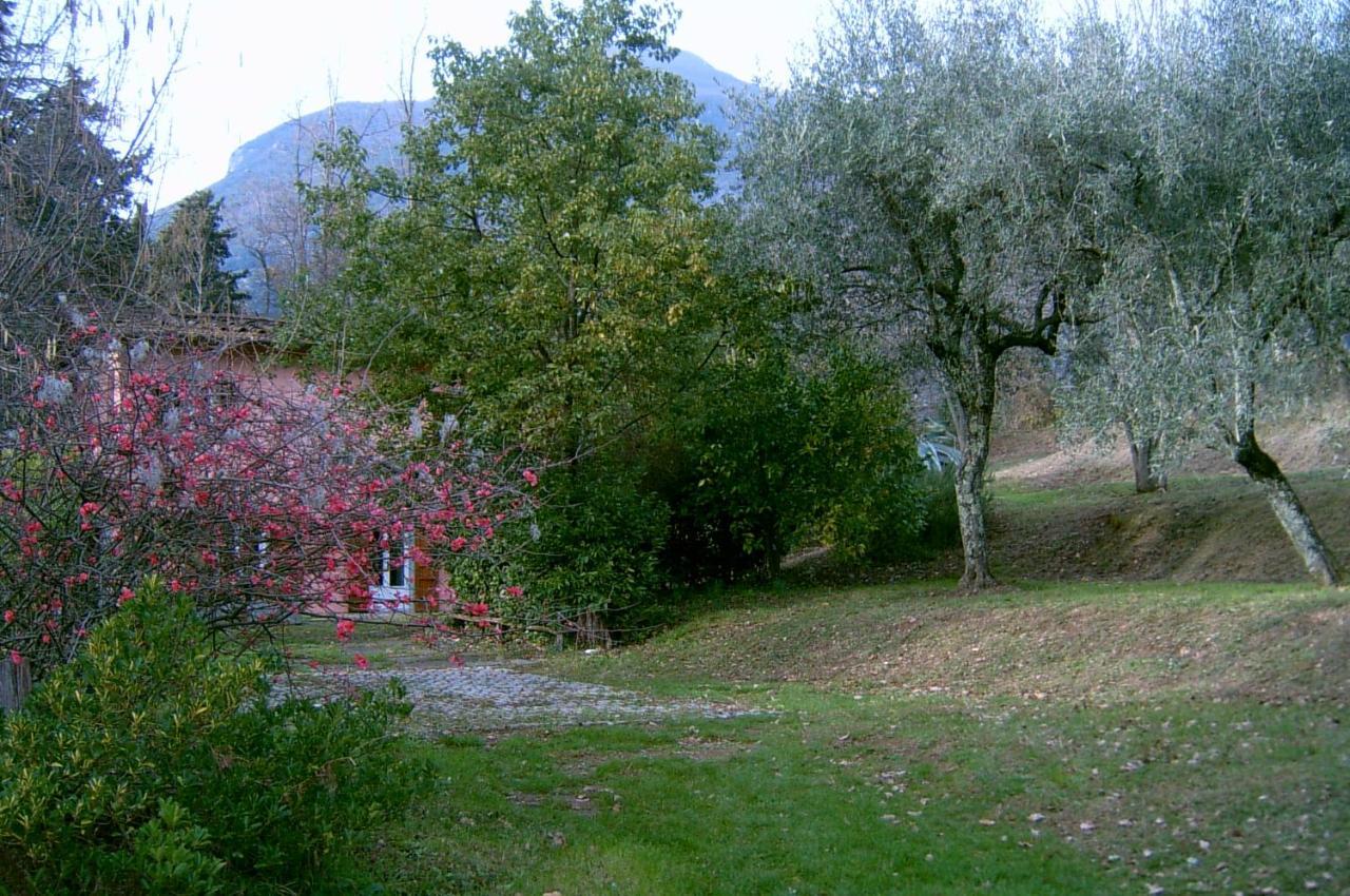 Casa Oliveto Villa Camaiore Exterior photo